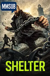 Shelter (2026)